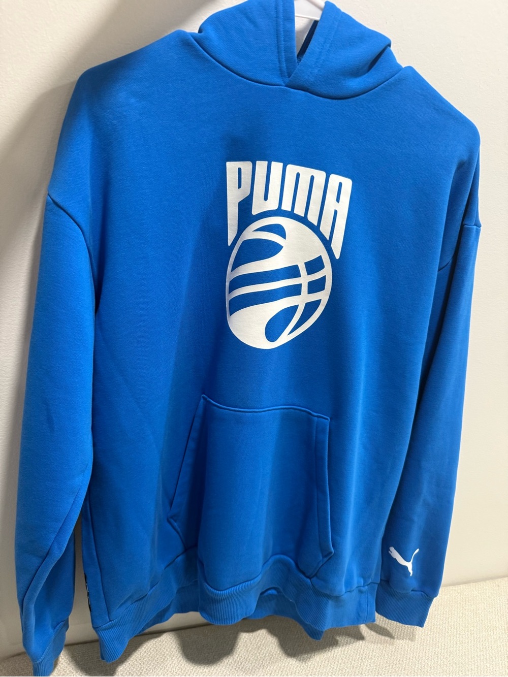 Puma Blue Logo Hoodie